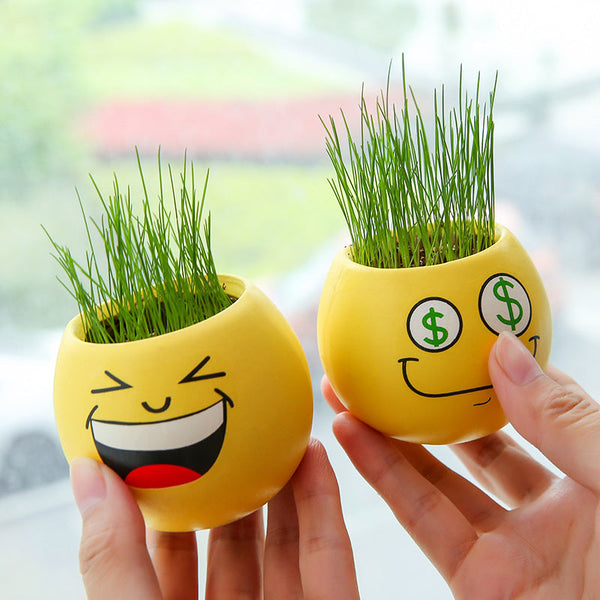 Cute Emoji Grass Planter