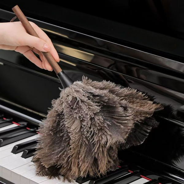 Feather Cleaning Duster