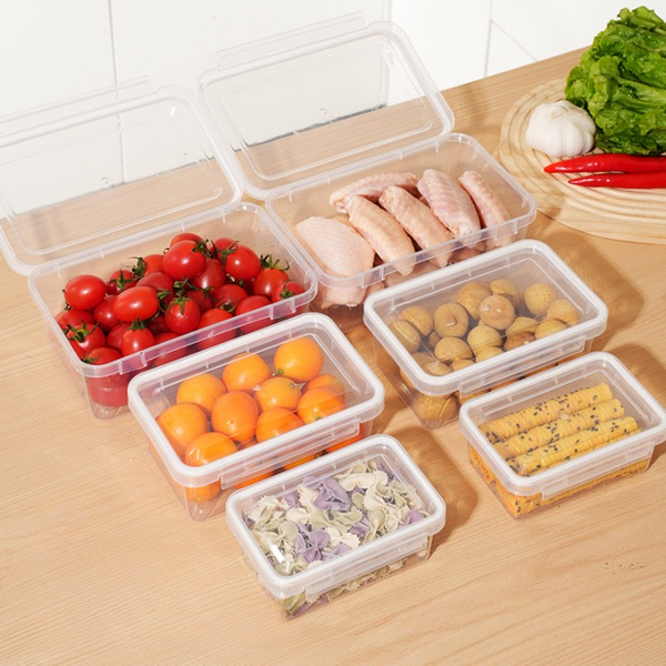 Transparent Food Storage Containers