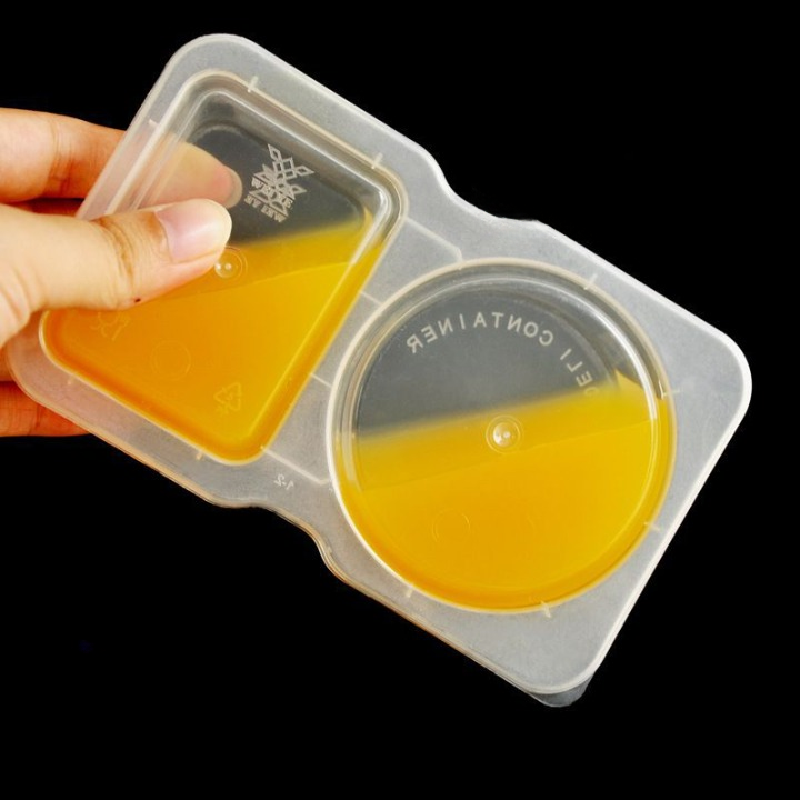 Snack Container
