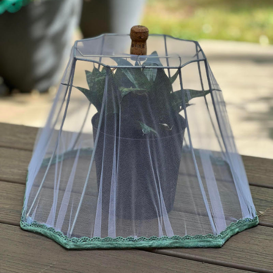 Multi-Purpose Food Cover