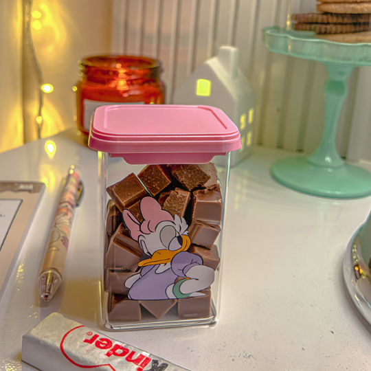 Disney Storage Containers