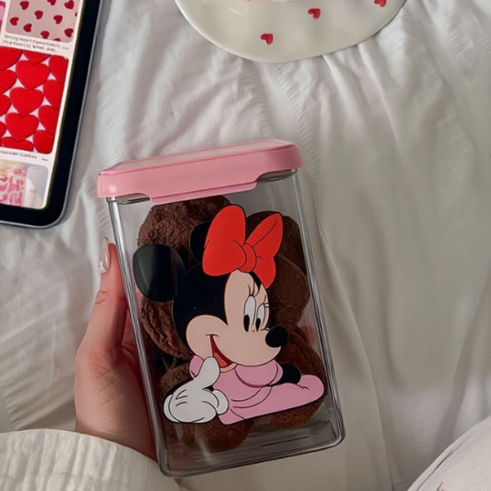 Disney Storage Containers