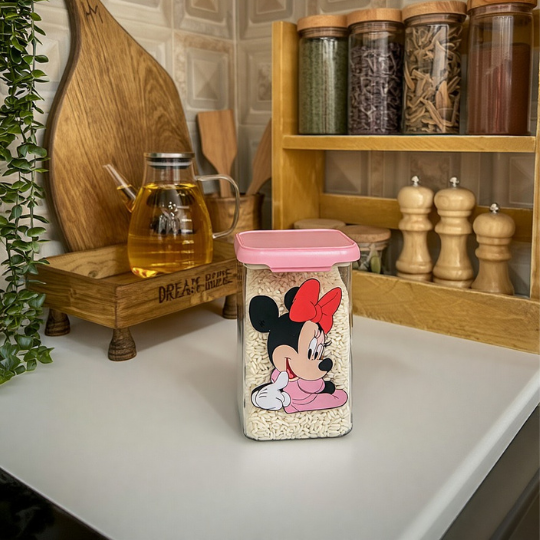 Disney Storage Containers