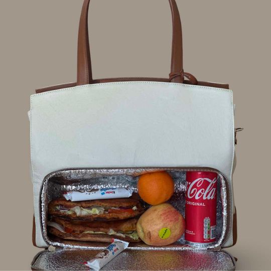 MultiCompartment Bag