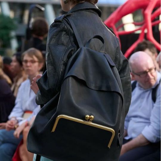Kisslock Frame Backpack