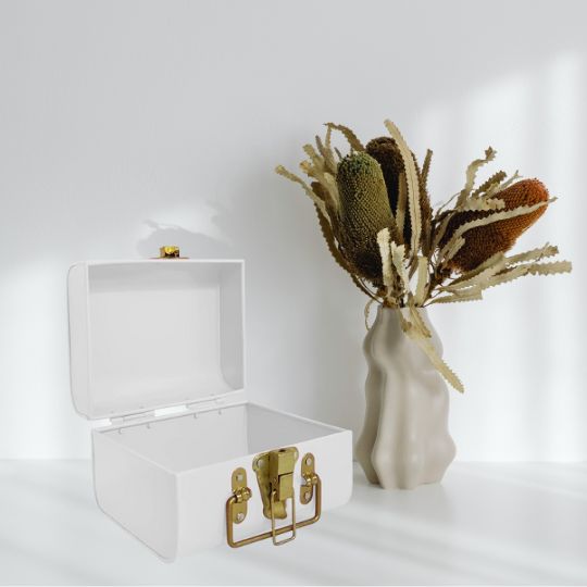 Metal Trunk Box
