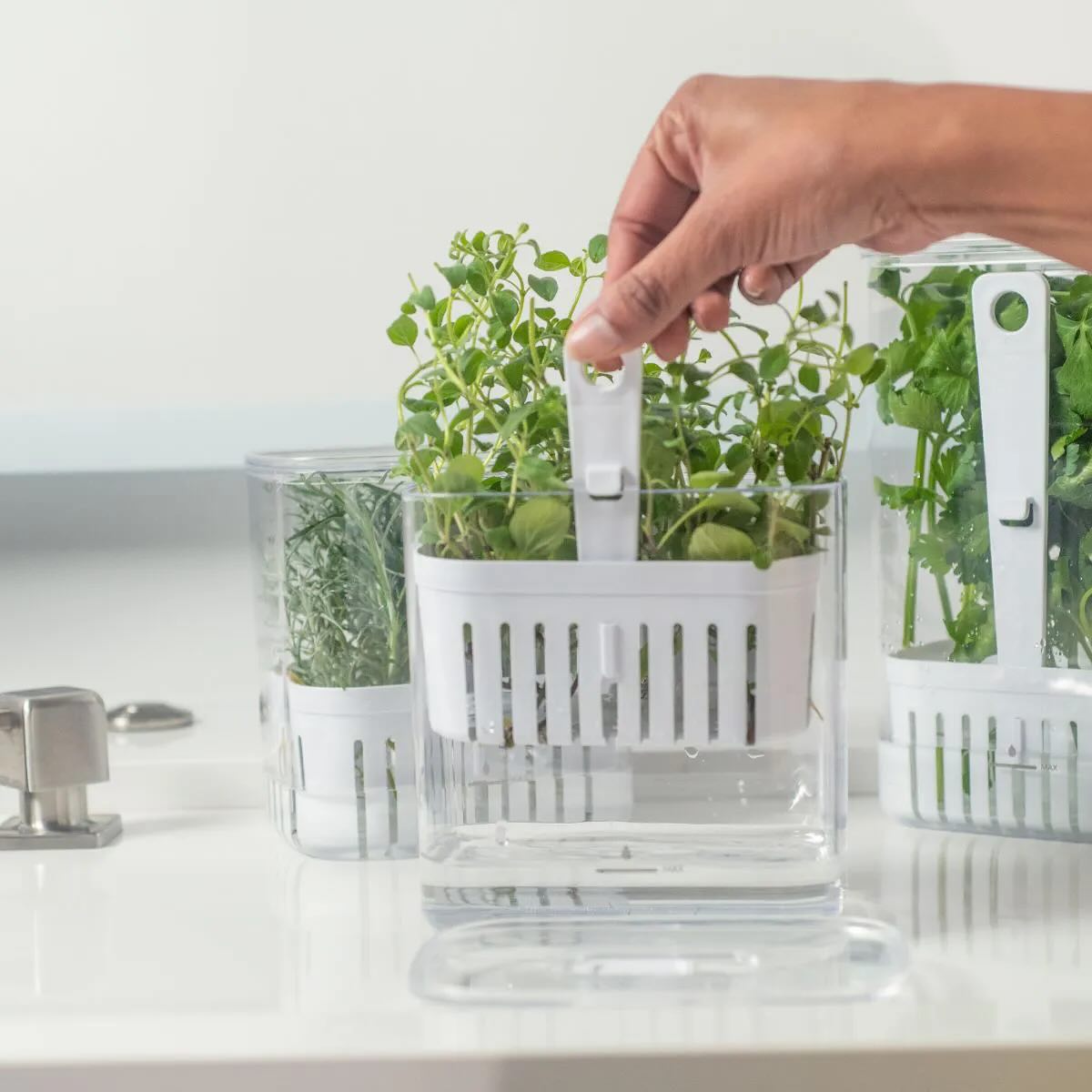 Green veggies Storage Container
