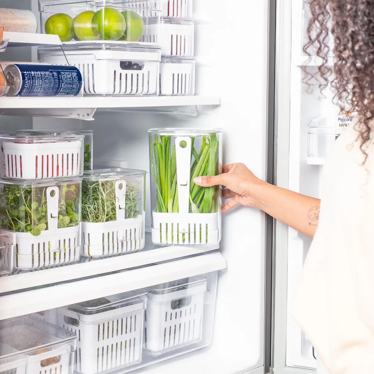 Green veggies Storage Container