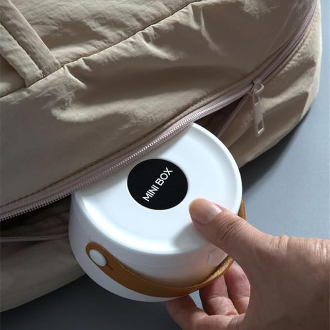 Mini Jewelry Organizer Box