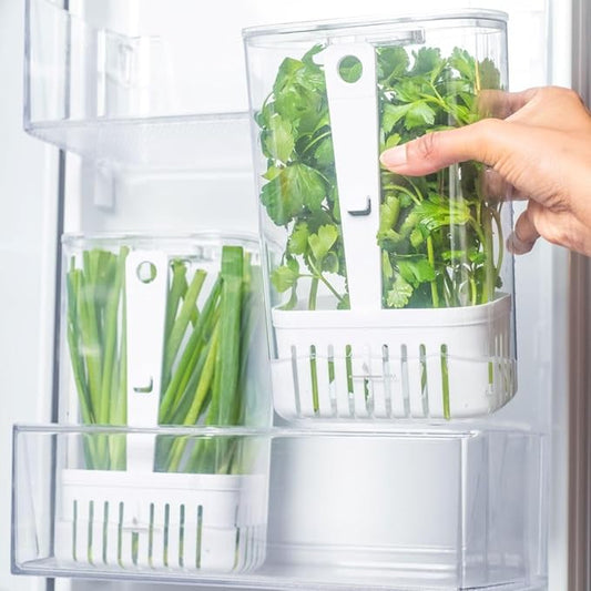 Green veggies Storage Container