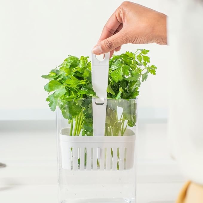Green veggies Storage Container