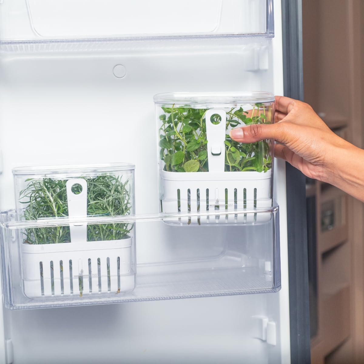 Green veggies Storage Container