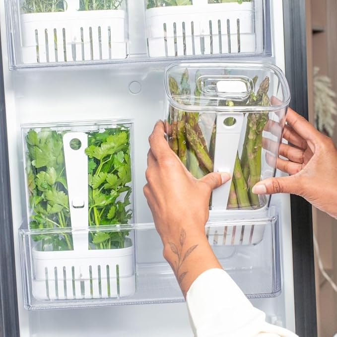 Green veggies Storage Container