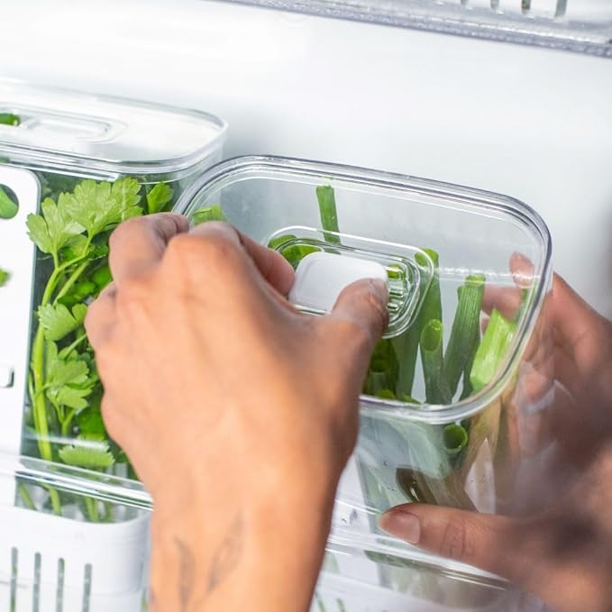 Green veggies Storage Container