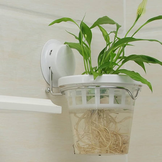 Wall Mounted Plant Pots