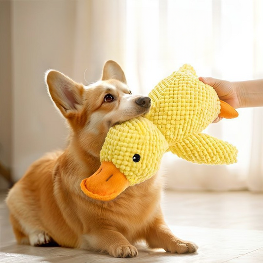 Duck Toy For Dog