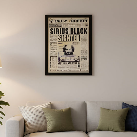 Harry Potter Frame