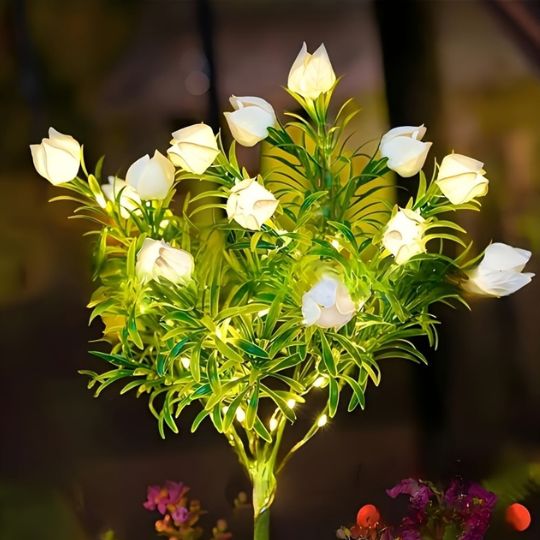 Solar Bloom Lights