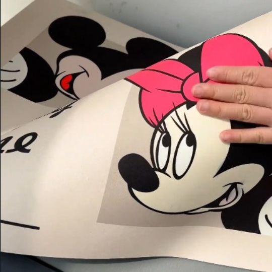 Mickey & Minnie Washing Machine Cover (50 Cm x 50 Cm)