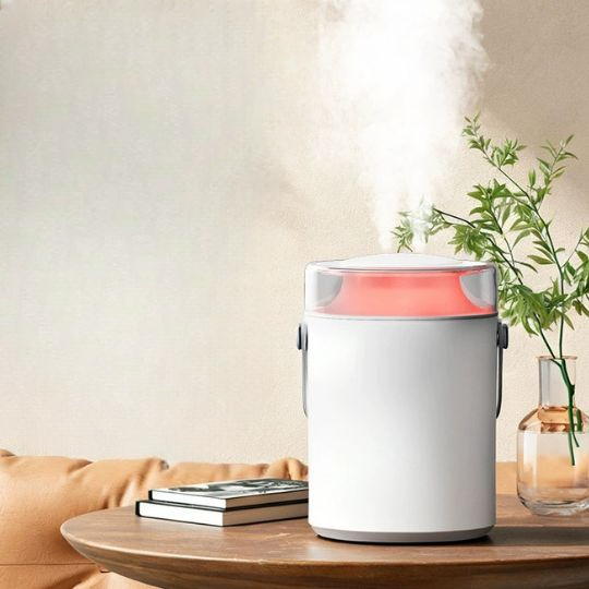 Double Mist Humidifier