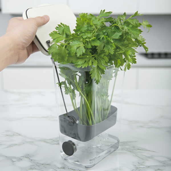 Fresh Herb Keeper